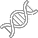 DNA icon