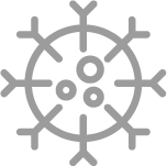 Bacteria icon