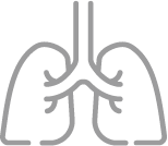 Lungs icon