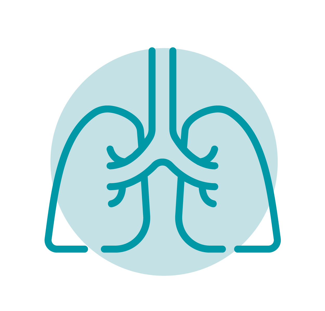 Graphic icon of lungs.