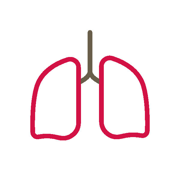 Breathing lungs gif.