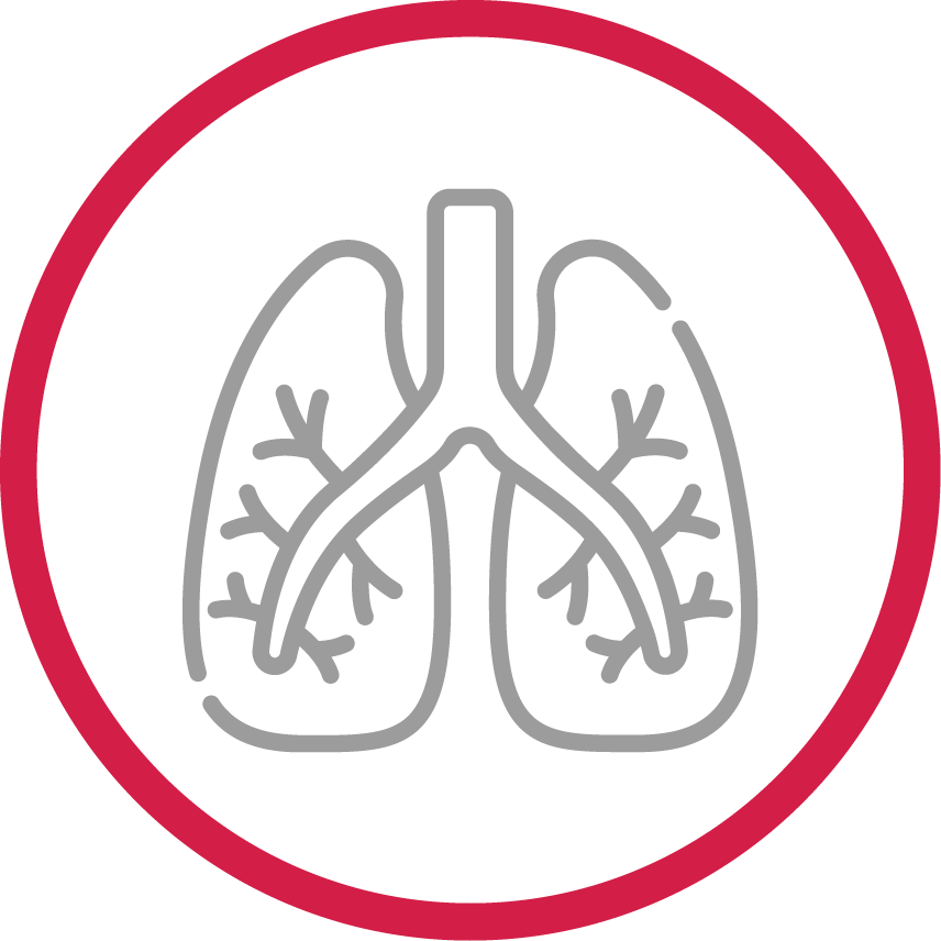 Graphic icon of lungs