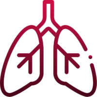 Icon of lungs with inflammation