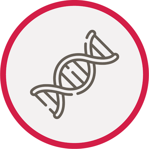 DNA icon