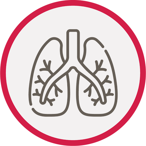 lungs-icon